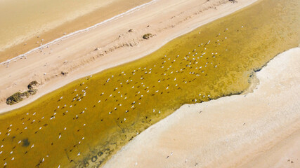 Vue aérienne de marais salants, Gruissan, Occitanie, Canal de la Robine