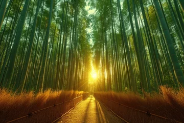 Foto op Aluminium Green and lush bamboo forest professional photography © NikahGeh