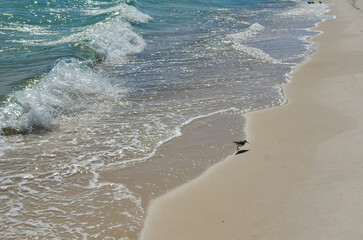 October Walk on the Beach, Alabama Point Beach and Perdido Pass, Orange Beach, Alabama