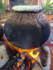 Great Pongal festival in India, Tamil Nadu 