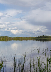Beautiful and calm scenery at the lake shore on a cloudy day in Finland. - 709563452