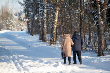 Fototapeta na wymiar people walking in the park in winter, rear view