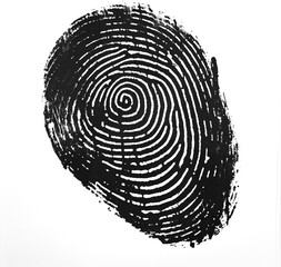 Fingerprint isolated on transparent background. PNG. PSD