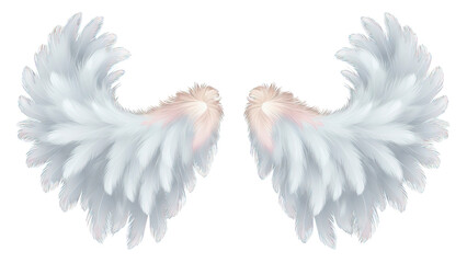 White angel wings isolated on transparent background. PNG - obrazy, fototapety, plakaty