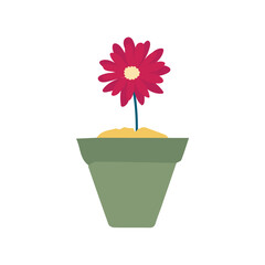 pot in green color with flowers plant