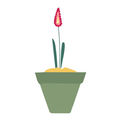 pot in green color with flowers plant