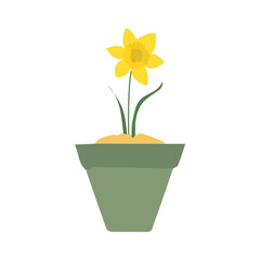 pot in green color with flowers plant