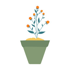 pot in green color with flowers plant