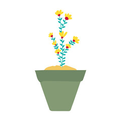 pot in green color with flowers plant