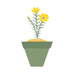 pot in green color with flowers plant