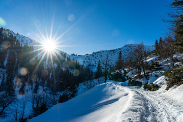 Winterwanderung von Urfeld zum Hervorstand