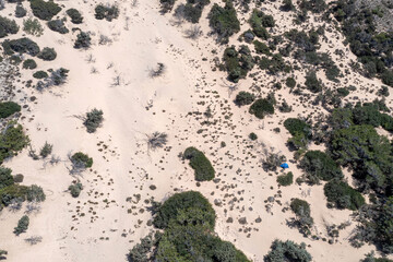 Gavdos island, Crete, Greece. Aerial drone above view of wild rocky landscape, green plant.