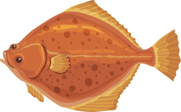 recommend clip art: Cartoon flounder fish for seafood cuisine or sea food restaurant menu, isolated vector. Ocean fishing and marine market or seafood kitchen flounder flatfish or plaice fish for ocean gourmet cooking
