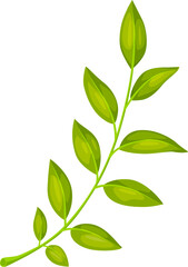Green leaf, isolated cartoon vector tree, garden flower or forest plant foliage, radiating freshness and beauty of spring and summer nature. Floral element, twig, branch or stem on white background