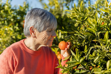 Close-up of a senior woman leaning in to smell a tangerine against a blurred backdrop of trees on a...