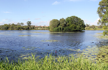 View of Lake Callemondah with water, an island, grass and trees in Gladstone, Queensland, Australia