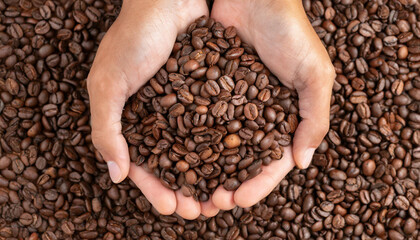 Two hands are full of roasted brown coffee beans