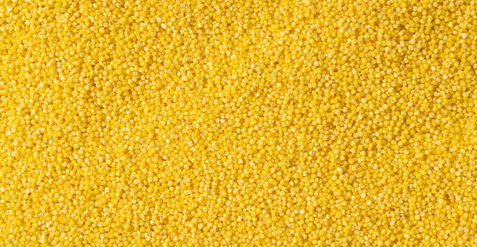 Multi Millets Background