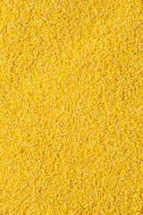 Background of raw millet seeds close up. Millet seeds texture.