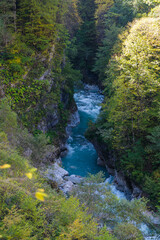 Fototapeta na wymiar A river in a mountain gorge