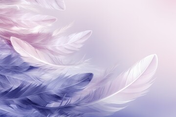  a close up of a white feather on a blue and pink background with a pink and white blurry background.