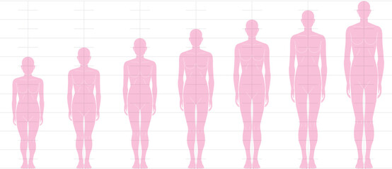 前から見た人間の身長バランス。
6頭身7頭身8頭身9頭身の
女性体形のイラスト