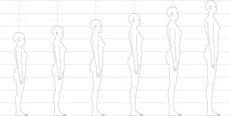 横から見た人間の身長バランス。
6.5頭身7頭身8頭身9頭身の
女性体形のイラスト