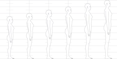 Foto op Plexiglas 横から見た人間の身長バランス。 6.5頭身7頭身8頭身9頭身の 女性体形のイラスト © hiro
