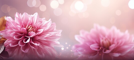 Pink chrysanthemum on right with magical bokeh background and ample space for text placement on left