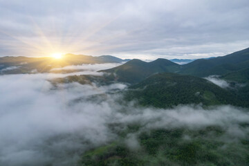 Fog envelops the mountain forest. The rays of the rising sun break through the fog. drone view.
