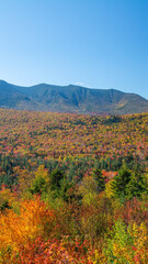 Autumn foliage in fall season. Red autumn landscapes in fall, trees and mountains of New England