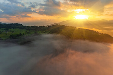 Mountains in clouds at sunrise in summer. Aerial view of mountain peak with green trees in fog....