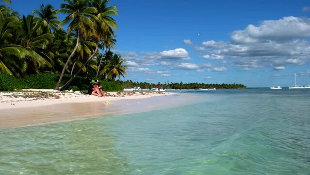 Palm trees on the shores of the Atlantic Ocean. Punta Cana Dominican Republic Caribbean sea and sky and beach landscape. Vacation, travel and exotic adventure concept.