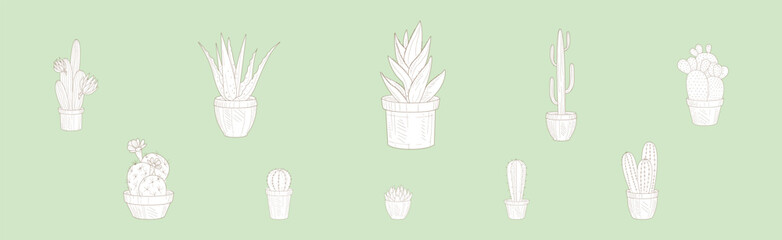 Hand Drawn Cactus and Succulent Plant Growing in Pot Vector Set