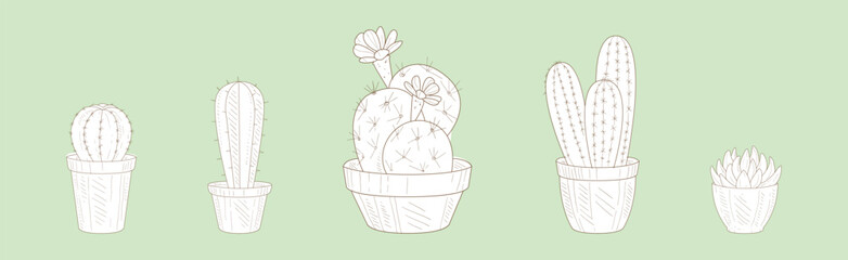 Hand Drawn Cactus and Succulent Plant Growing in Pot Vector Set