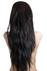 Back view of a caucasian woman with long black hair.