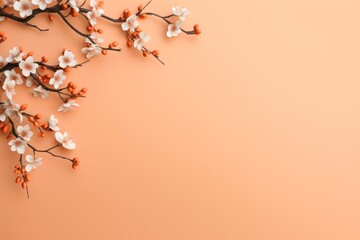  a branch of a flowering tree with white flowers on an orange background with copy - space for text or image.