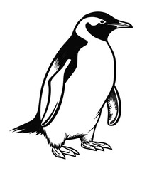  black outline vector Penguin isolated on a white background.Penguin illustration