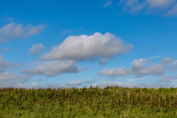 Looking out over a field in Sussex with a blue sky and fluffy clouds overhead