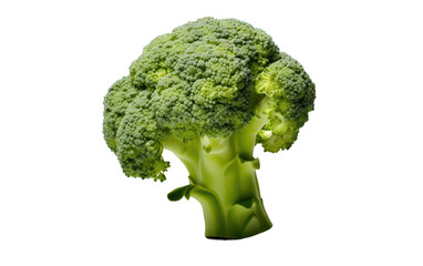 Green Goodness: Exploring the World of Broccoli isolated on transparent Background