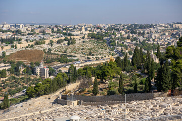Old Jerusalem, The Holy Land, Mount of Olives