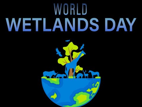World Wetlands Day. World Wetlands Day start on 2 February - World Wetlands Day.