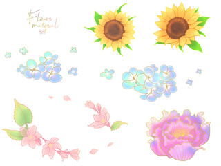 季節の花の素材イラスト（半透明）