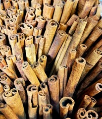 close up of cinnamon sticks