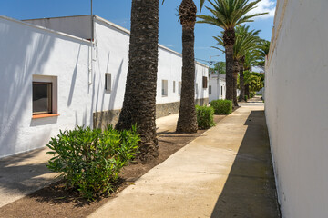 Fototapeta na wymiar Street of the fishers village of Poble Nou del Delta with its typical white houses. Delta del Ebro, Tarragona, Spain.
