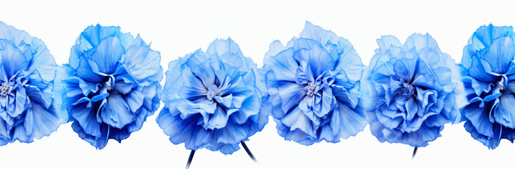 Images of blue carnation flowers, in the style of fisheye lens, white background, shaped canvas, flower power, golden ratio, use of bright colors, cyan and blue

