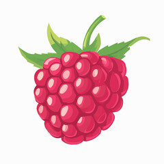 raspberry with leaves