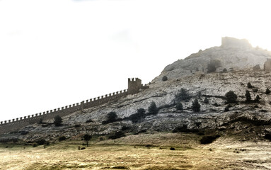 An ancient fortress on a rocky hill in the fog.