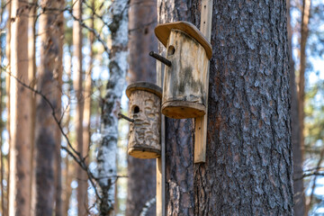Birdhouses for birds on trees in the forest.