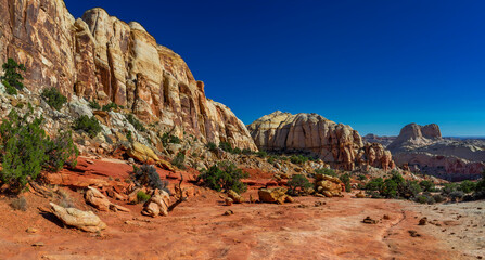 Fototapeta na wymiar Sandstone formations in an arid canyon landscape panorama